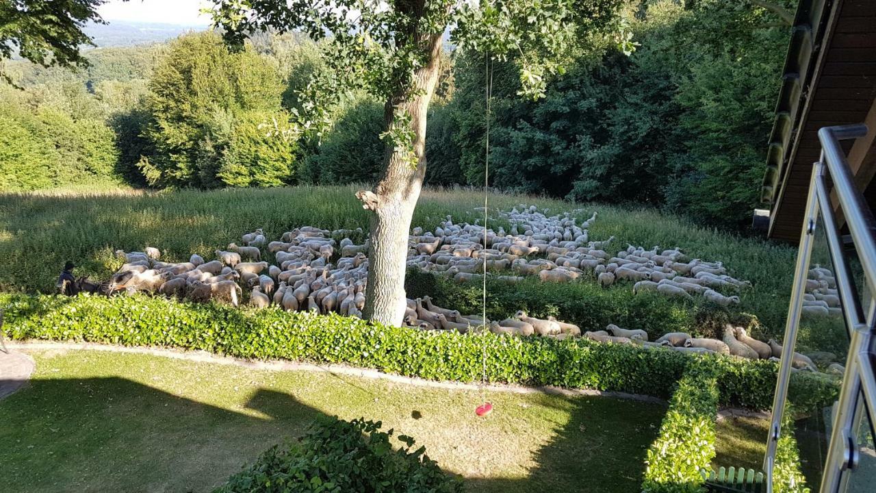 Ferienwohnung "Tecklenburger Augenblicke" Exterior foto